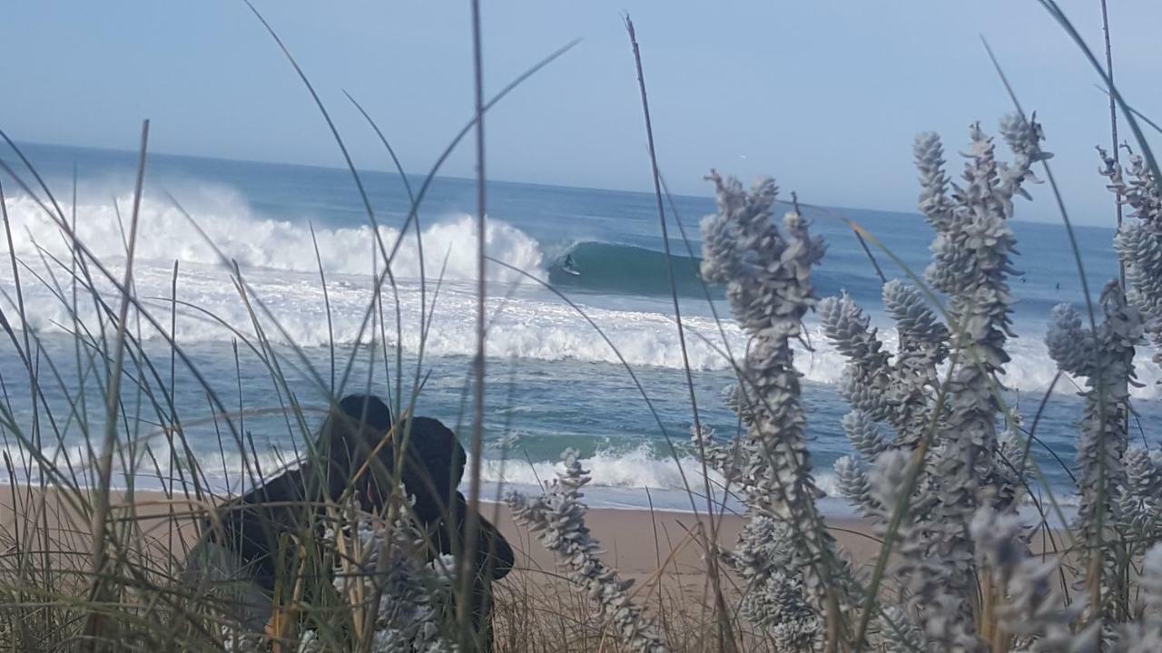 Pineapple Surf House Albergue Peniche Exterior foto